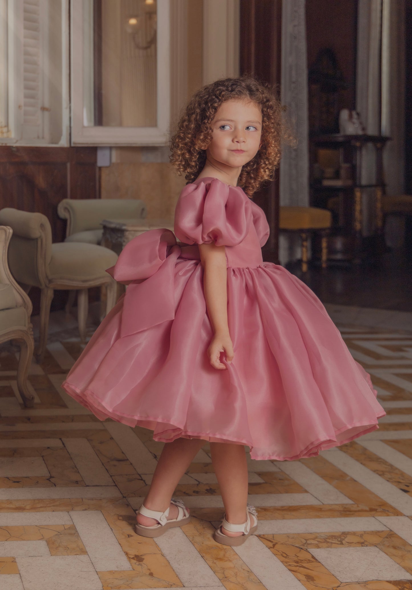 Blush Bloom - Pink Silky Organza Dress