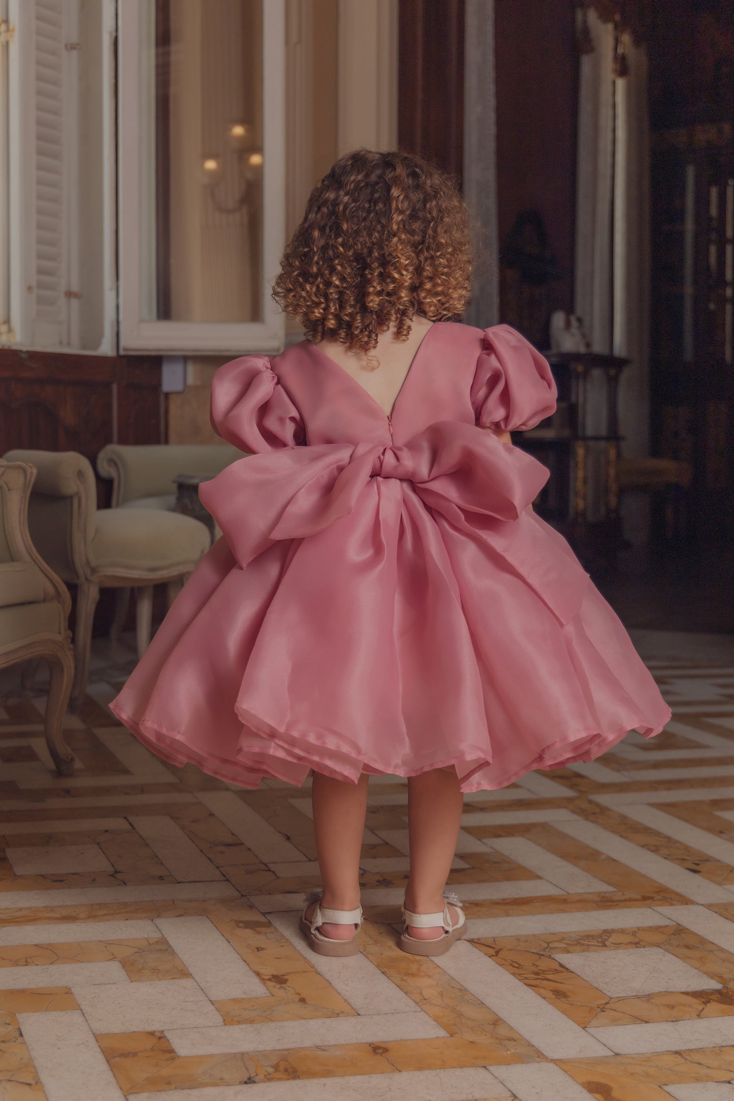 Blush Bloom - Pink Silky Organza Dress