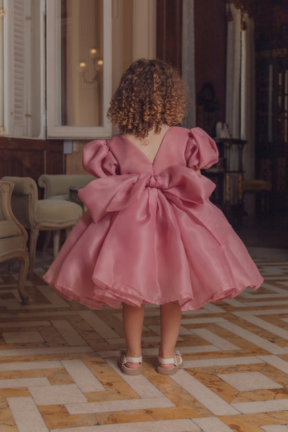 Blush Bloom - Pink Silky Organza Dress