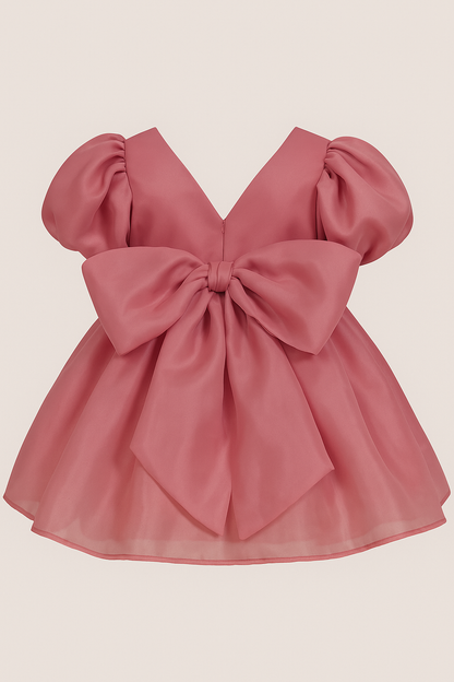 Blush Bloom - Pink Silky Organza Dress