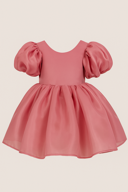 Blush Bloom - Pink Silky Organza Dress