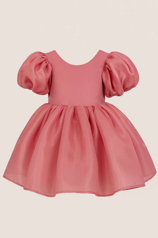 Blush Bloom - Pink Silky Organza Dress